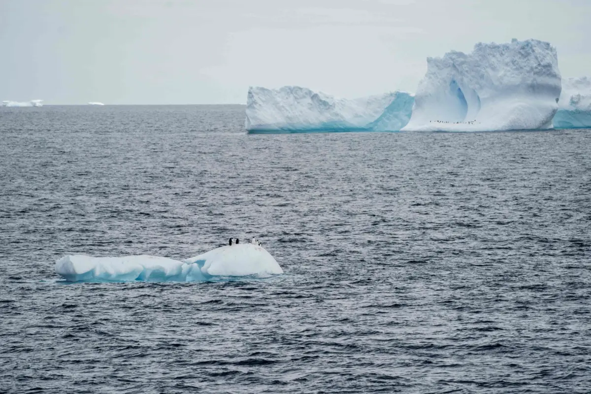 Os glaciares mundiais perderam cerca de 5% do seu volume desde o início do século