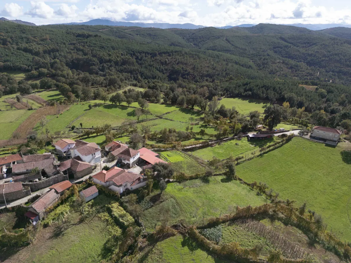 Imagem de contexto do artigo "Luta muito dura." Ativistas de todo o mundo reúnem-se em acampamento contra mina de lítio em Boticas