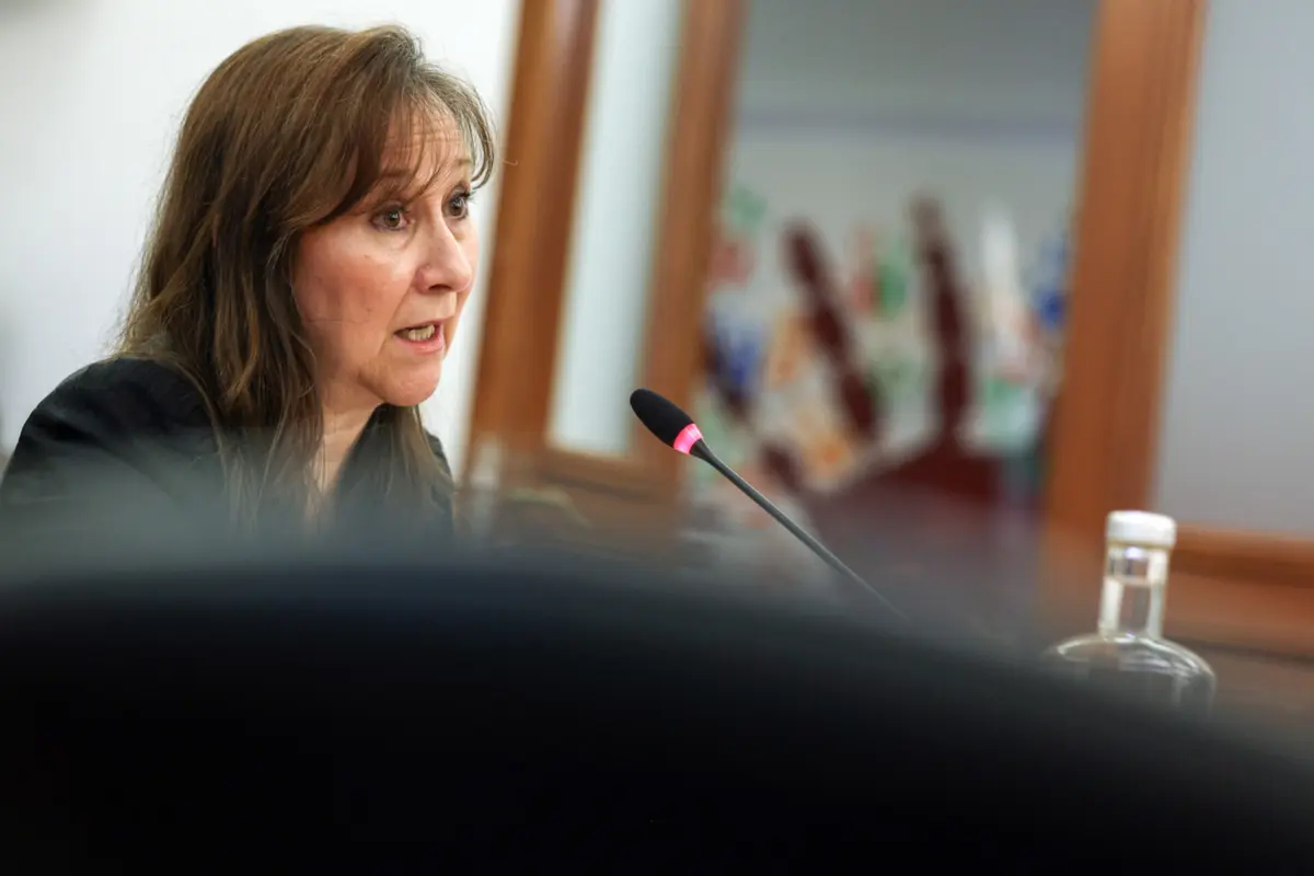 A diretora do Departamento de Pediatria do Hospital de Santa Maria, Ana Isabel Lopes