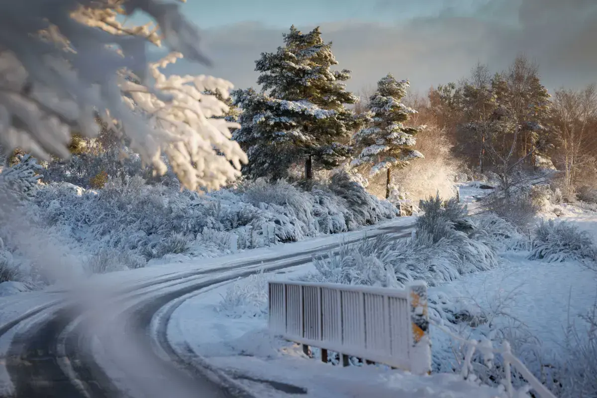 Imagem de contexto do artigo Várias estradas cortadas no distrito de Viseu devido a queda de neve. Aulas acabaram mais cedo em Montalegre