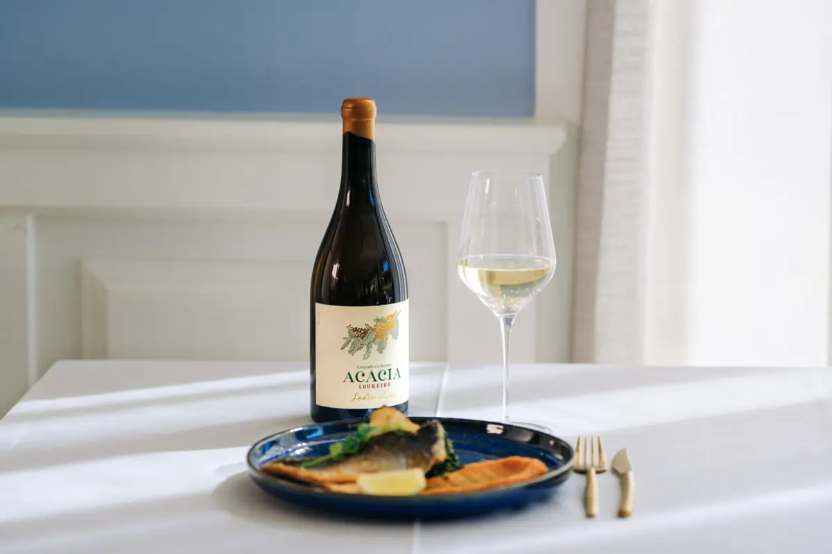 Imagem de contexto do artigo Acácia Loureiro exprime caráter inovador da Adega de Ponte da Barca