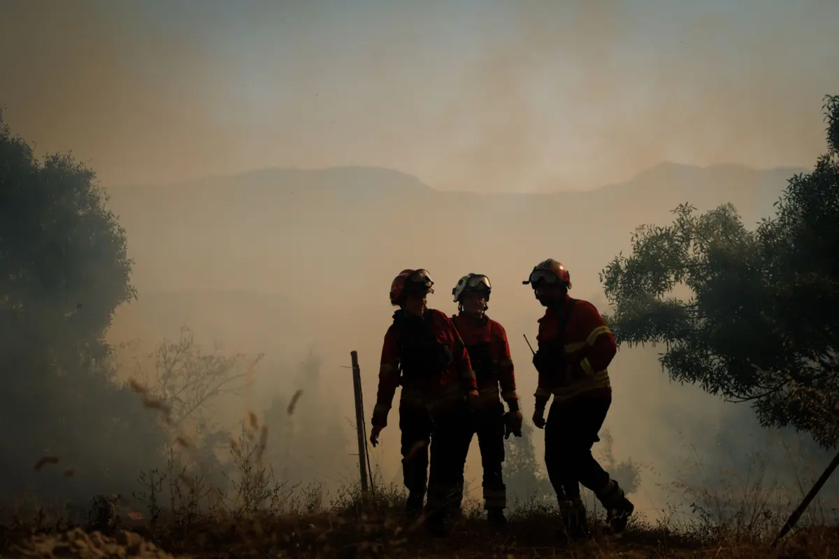 Imagem de contexto do artigo Proteção Civil registou 77 incêndios até às 17h00 envolvendo mais de 1700 operacionais