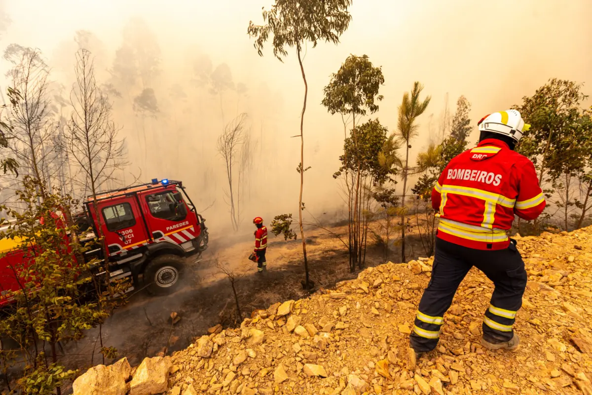 Imagem de contexto do artigo E se um incêndio deflagrar próximo de uma autoestrada? Brisa cria aplicação e plano com recomendações aos condutores