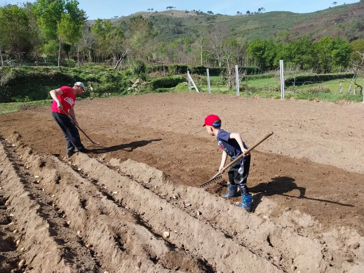Imagem de contexto do artigo Cinfães oferece "duas dezenas de sementes" para incentivar "regresso à agricultura tradicional, familiar e biológica"