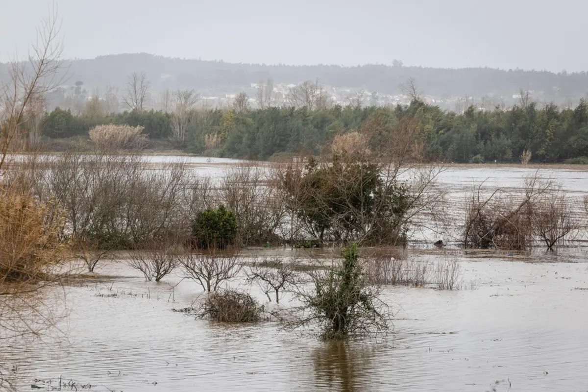 Imagem de contexto do artigo Temporal. Coimbra vai começar a trabalhar num possível cenário de evacuação