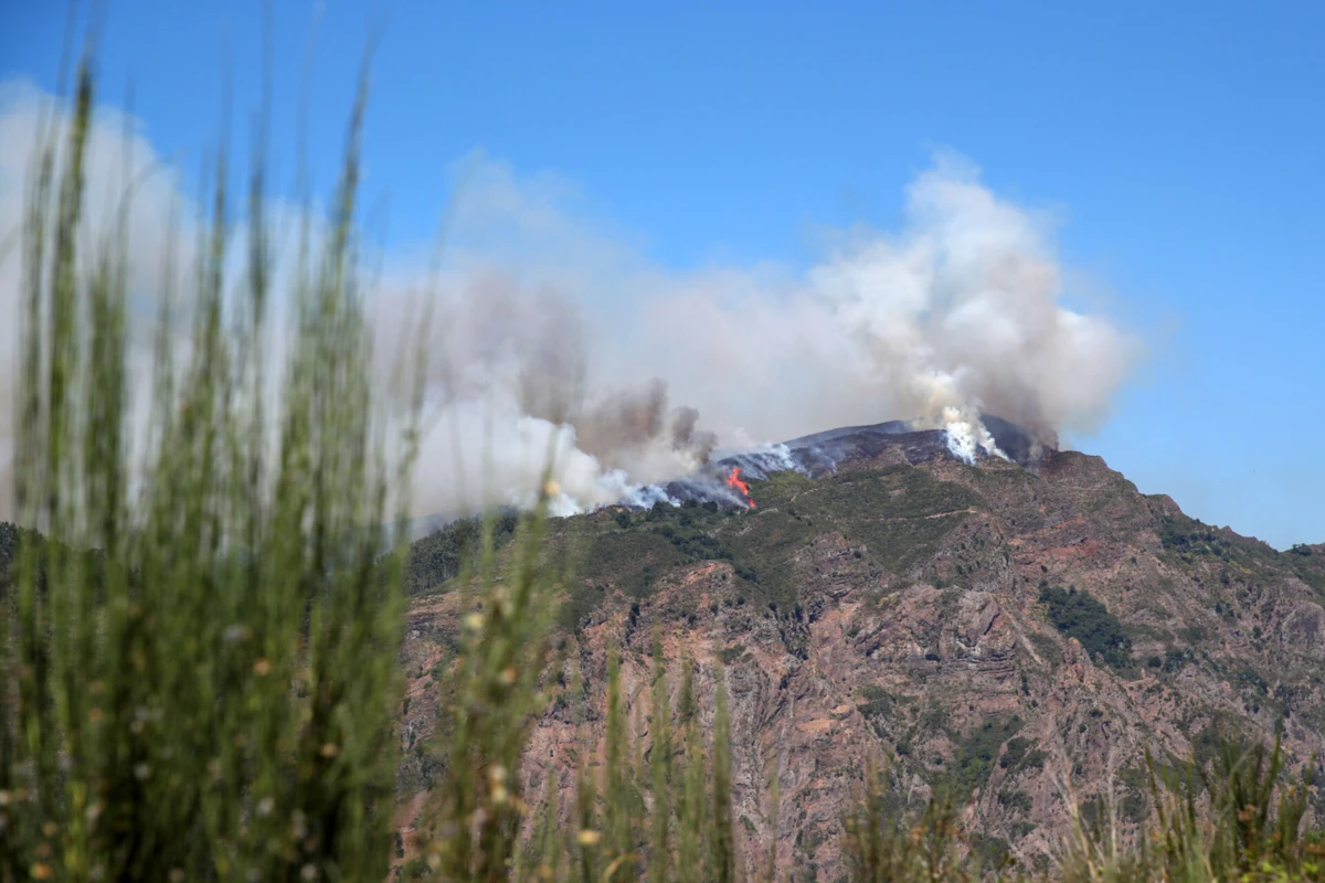 Imagem de contexto do artigo Mais calor: IPMA prolonga aviso amarelo na Madeira até quarta-feira à noite