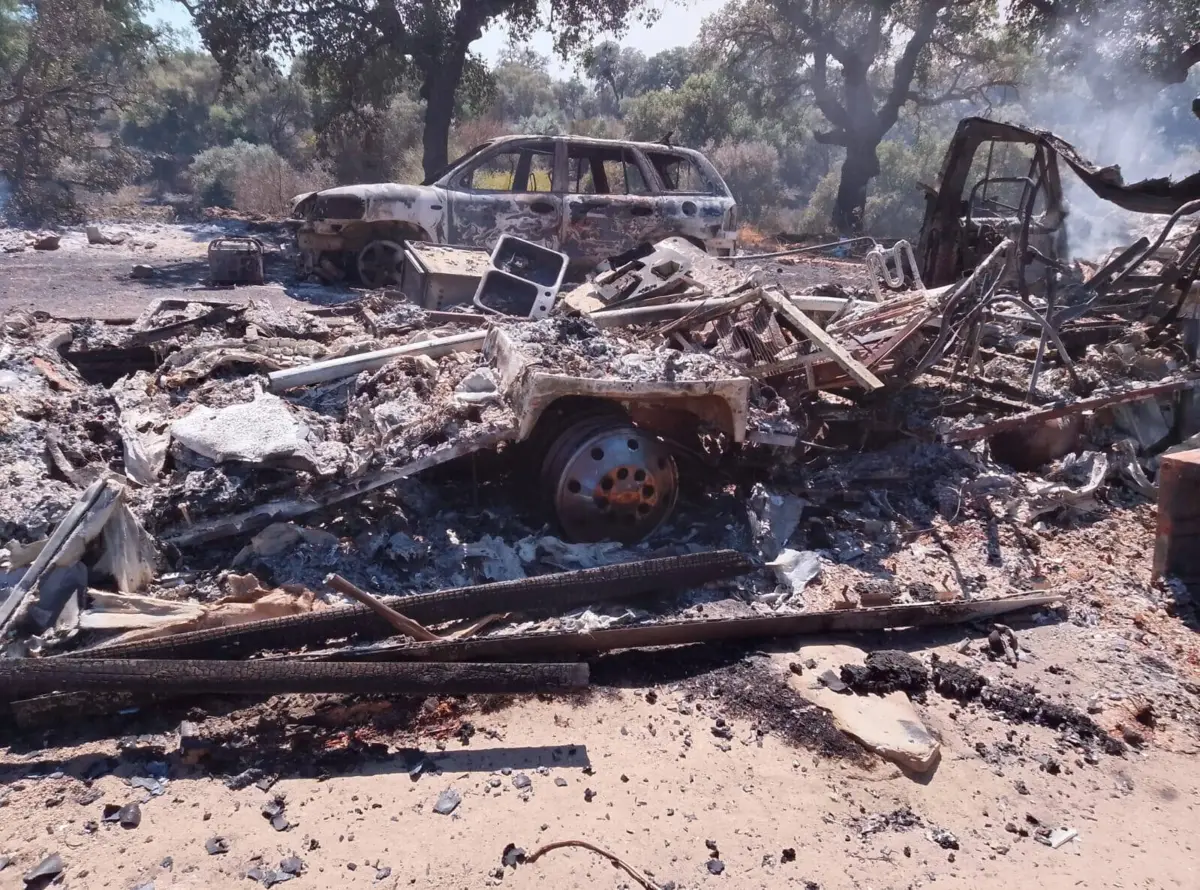Imagem de contexto do artigo "Retirámos os cães todos. Animais ficaram completamente sem comida." Após incêndio, Medelim precisa de quase tudo