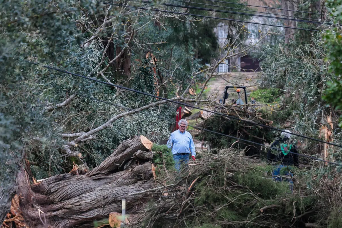 Imagem de contexto do artigo Forças Armadas reforçam dispositivo no terreno com mais de mil militares