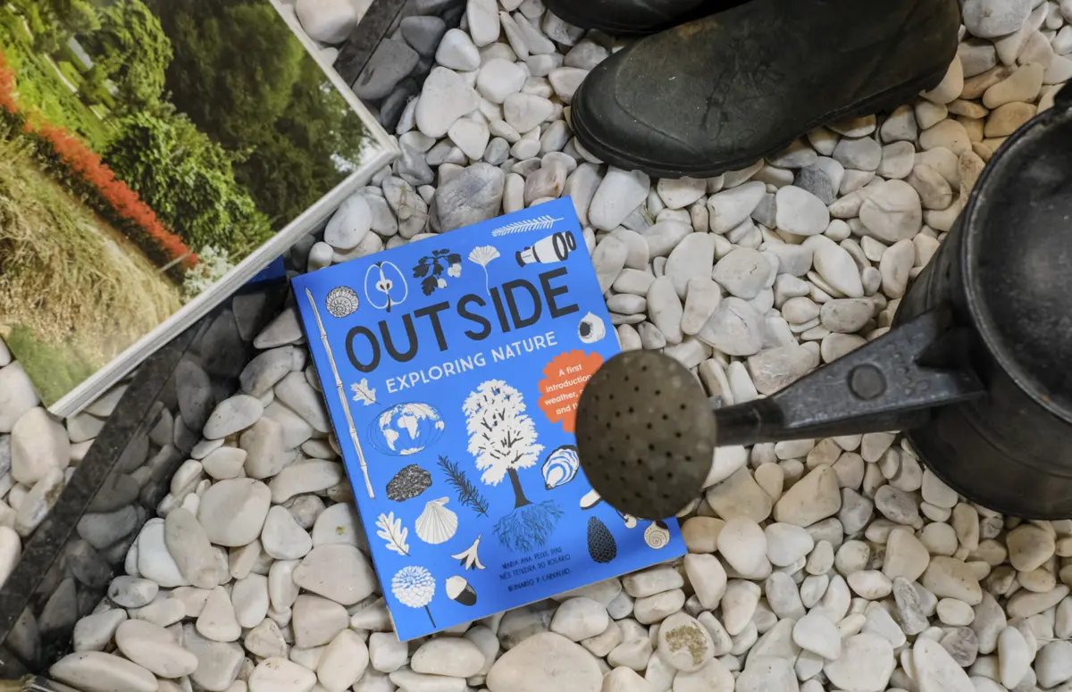 Imagem de contexto do artigo Numa paragem de autocarro, jardim ou à entrada do circo: "Não foi um livro esquecido, é para as pessoas levarem"