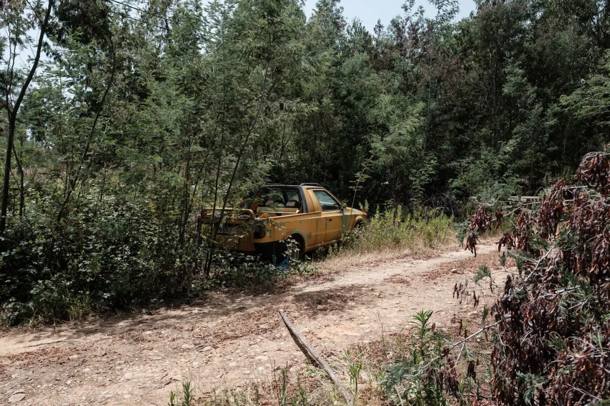 Imagem de contexto do artigo Incêndios de 2017: Tribunal Constitucional rejeita recurso no processo da reconstrução das casas em Pedrógão Grande
