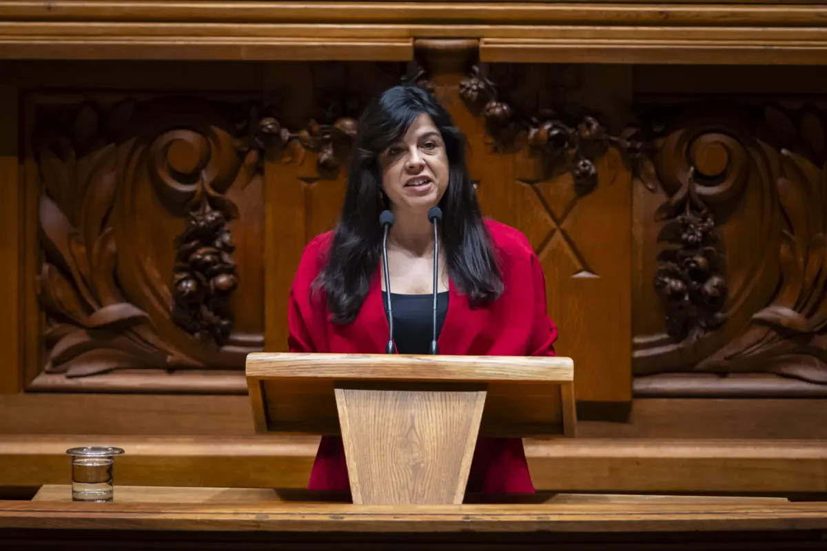 "Para o PAN, faz mais sentido apostarmos na defesa da floresta do que na defesa nacional", sublinha a porta-voz do PAN