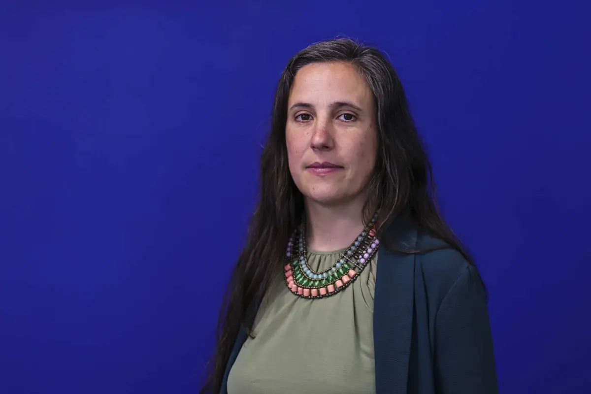 Imagem de contexto do artigo "É preocupante." Livre questiona Governo sobre "atraso" nas metas de limpeza das florestas