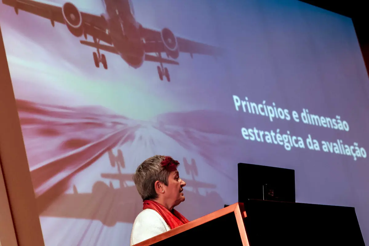 A coordenadora da Comissão Técnica Independente, Rosário Partidário