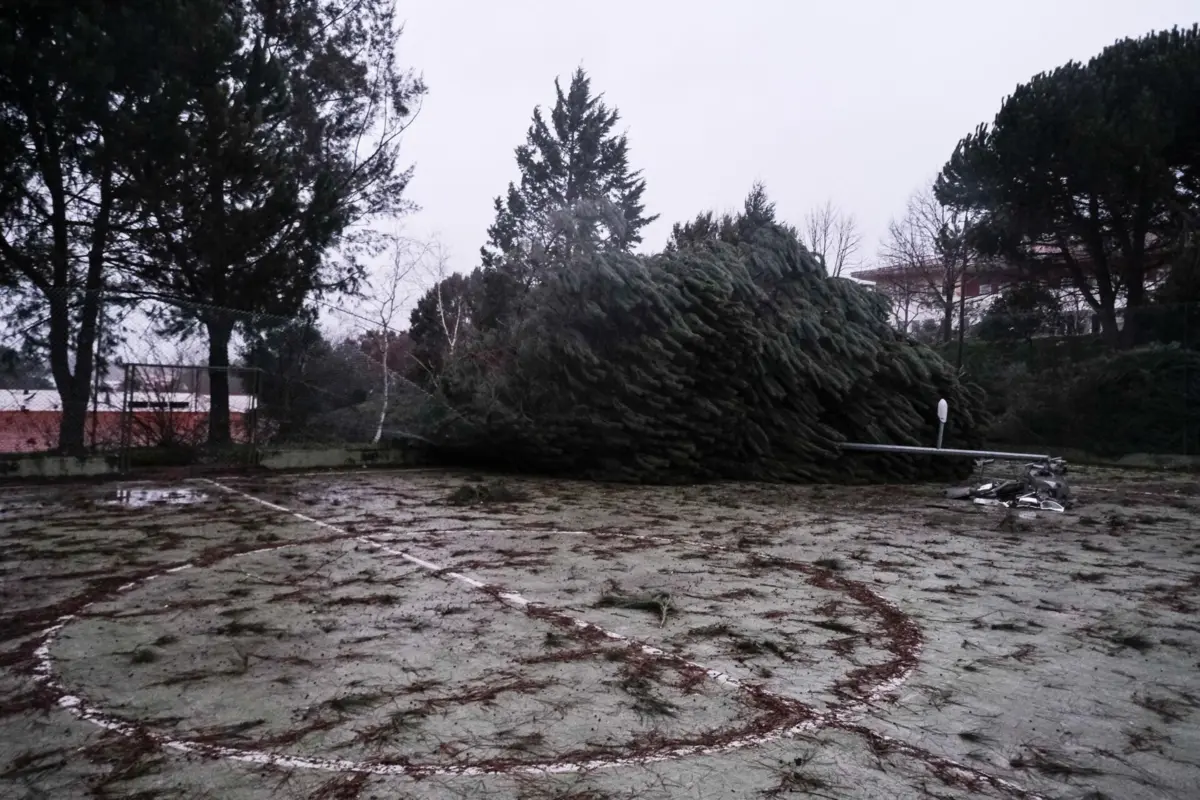 Imagem de contexto do artigo Marcelo defende criação de comissão técnica independente, comunicações restabelecidas em quase todo o concelho de Leiria, Pombal apela ao racionamento da água