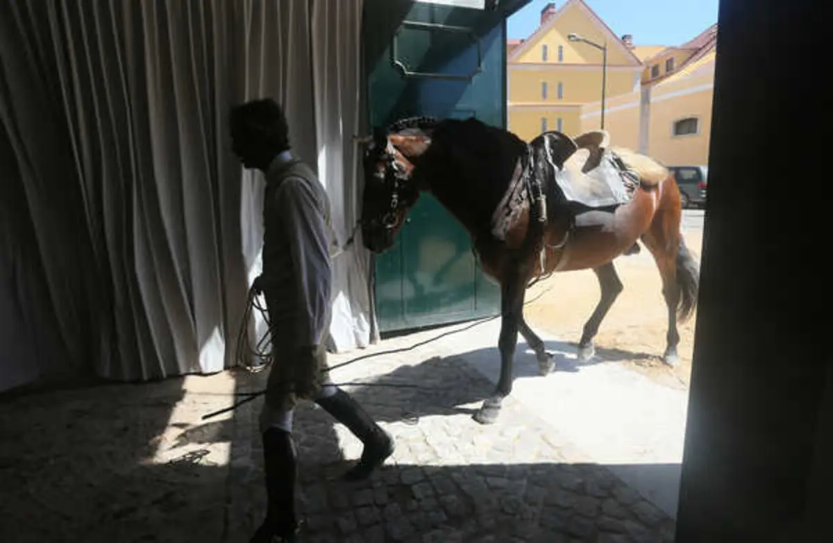 Imagem de contexto do artigo Arte Equestre Portuguesa classificada Património Imaterial da Humanidade