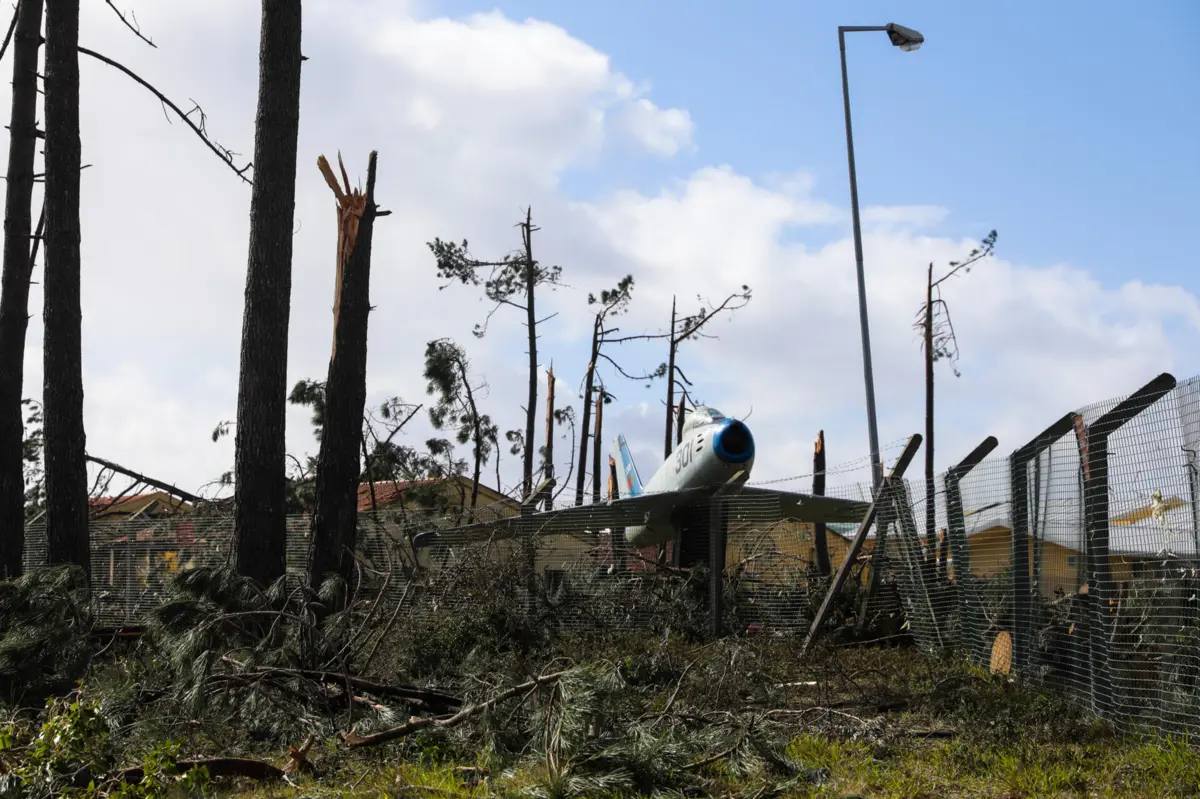 Imagem de contexto do artigo Árvores caídas são "deserto chocante". Chuva e vento não param há 15 dias, mas Dina e Isabel também não