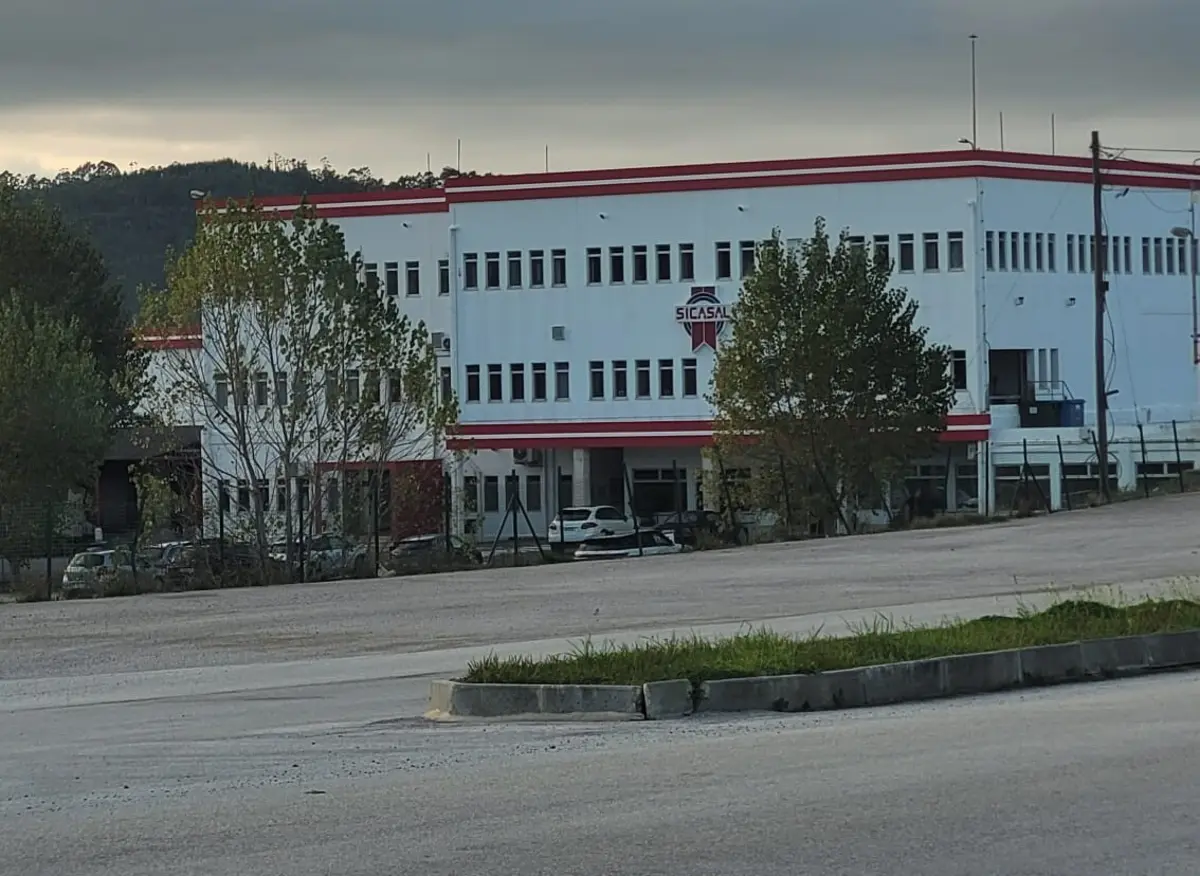 Existem "vários investidores interessados" na empresa