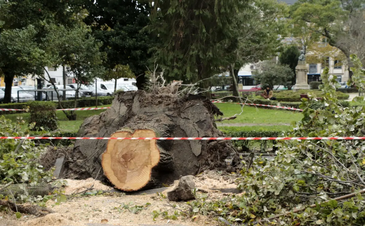 Imagem de contexto do artigo Pelo menos 21 casas danificadas por tornado em Peniche
