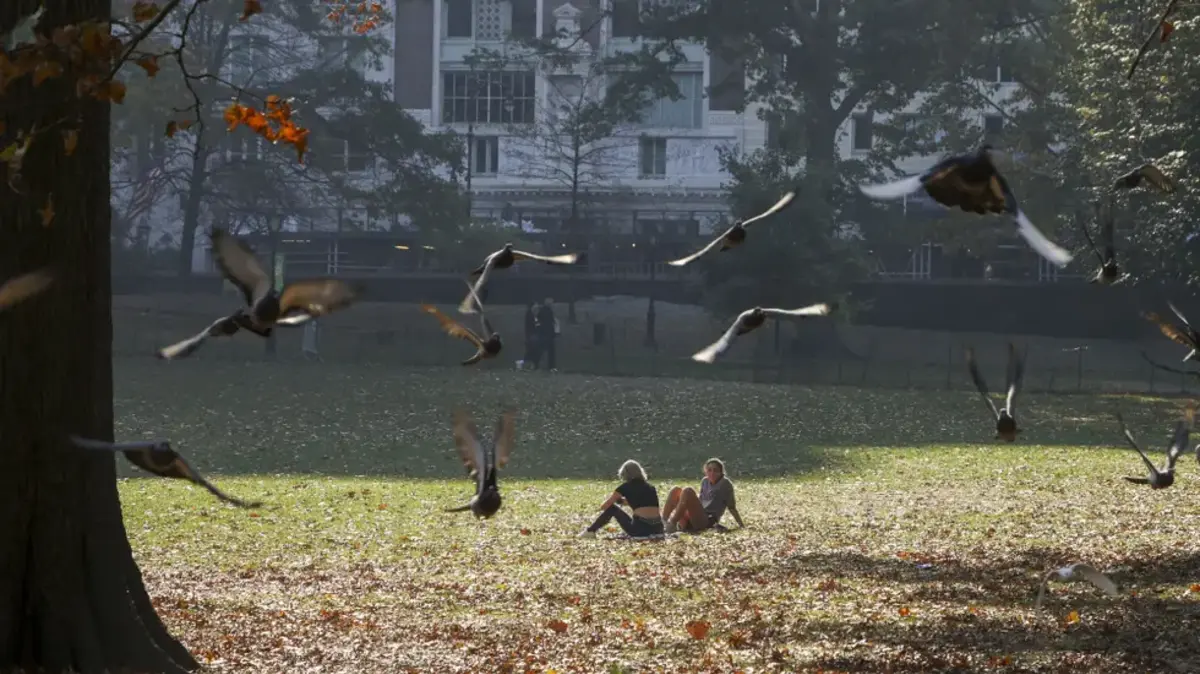 Imagem de contexto do artigo Projetos musicais algarvios atuam no Central Park em Nova Iorque