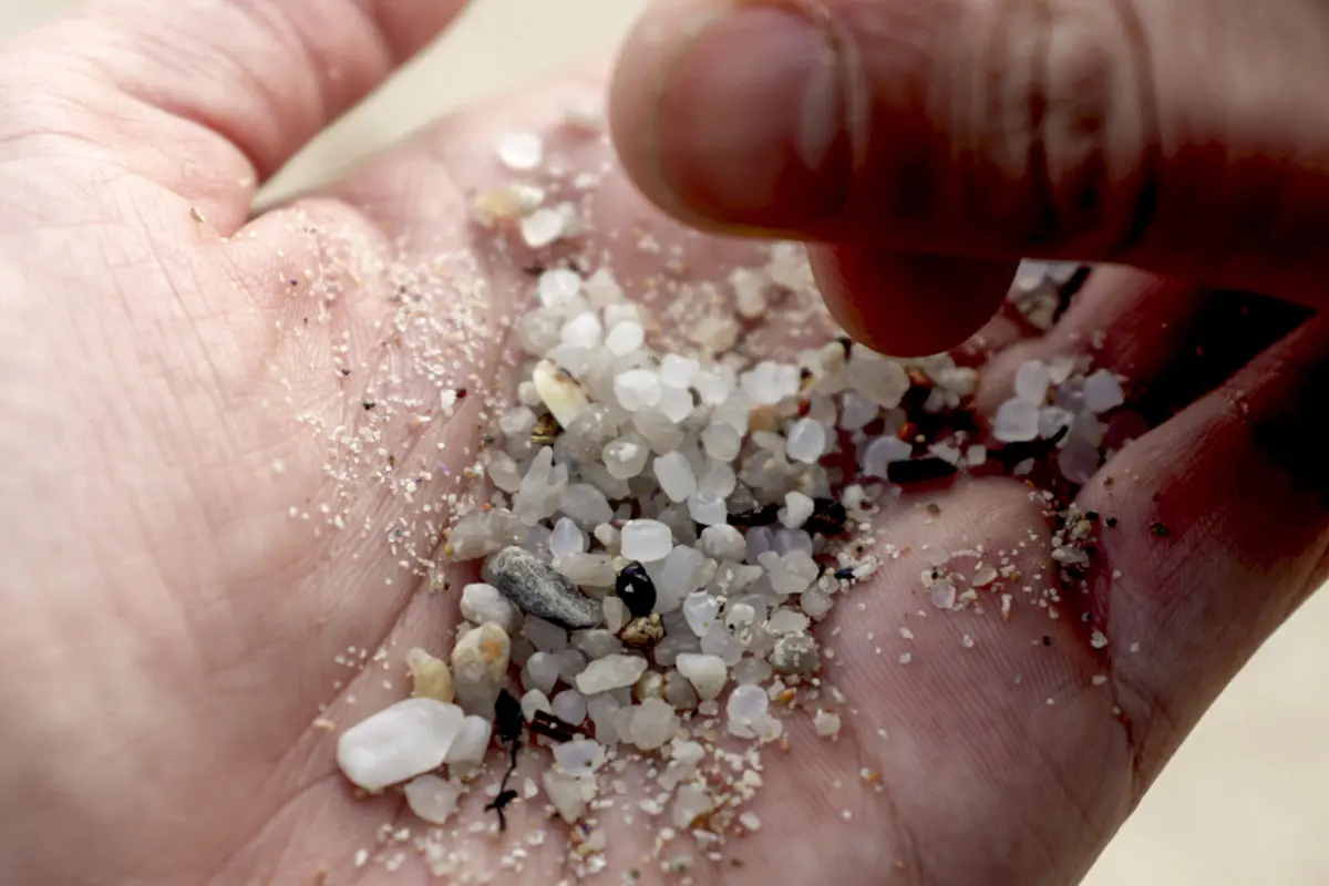 Imagem de contexto do artigo Maré de plástico. Eurodeputadas enviam carta a pedir intervenção de Bruxelas