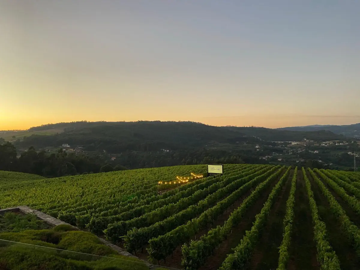 Imagem de contexto do artigo Cinema na Vinha nos meses de verão é uma "Viagem pelos Sentidos"