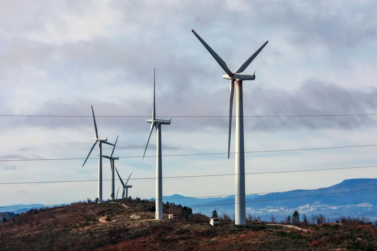 Miguel Pereira da Silva/Lusa