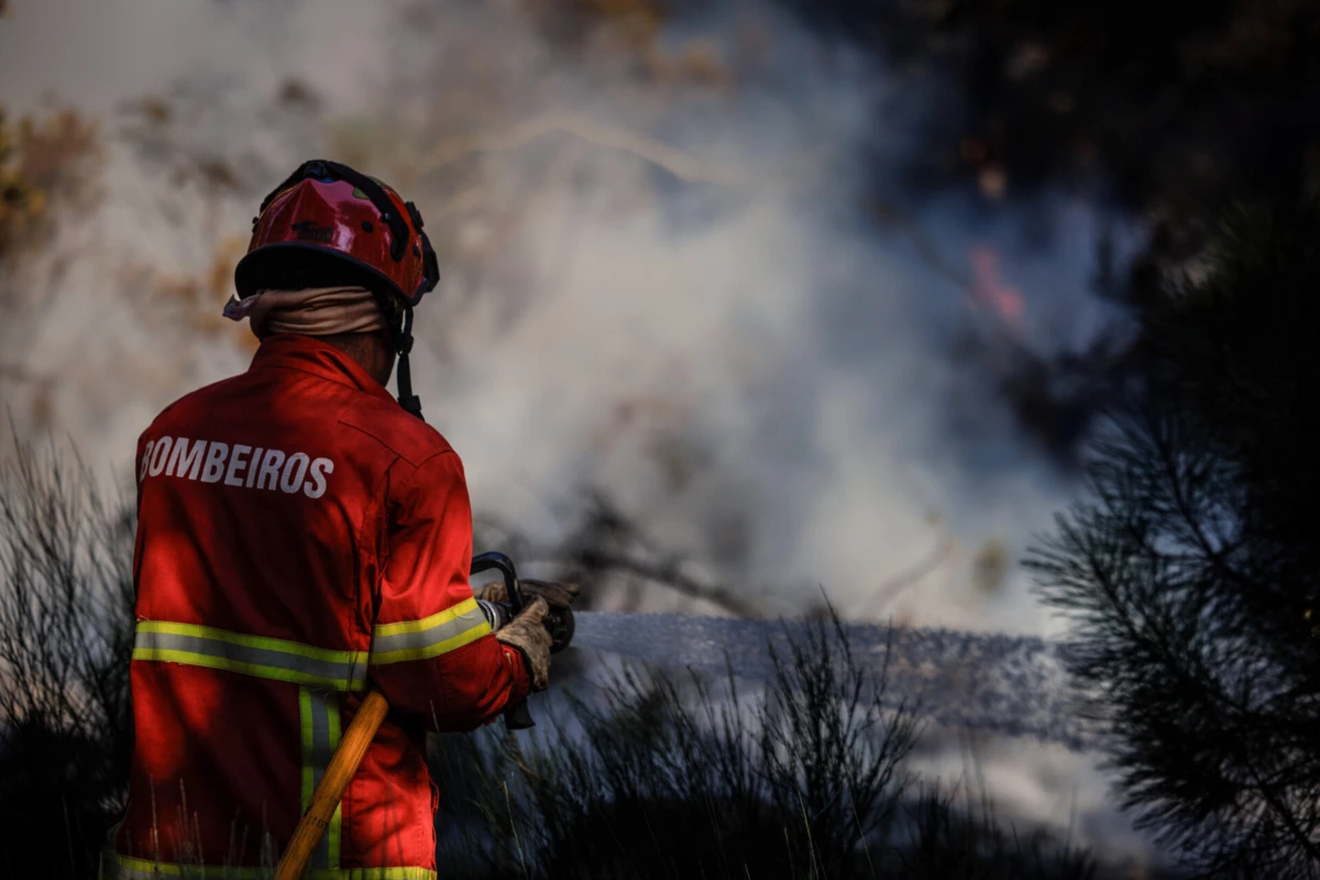 Imagem de contexto do artigo Mais de 40 fogos em Portugal combatidos por cerca de 1880 operacionais pelas 21h00