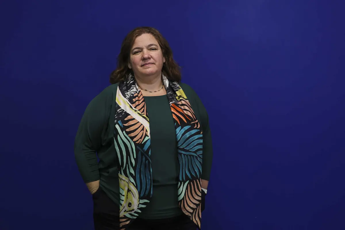 Imagem de contexto do artigo Nova coligação negativa? PS prepara-se para ver aprovada redução do IVA da eletricidade para "mais de três milhões de pessoas"