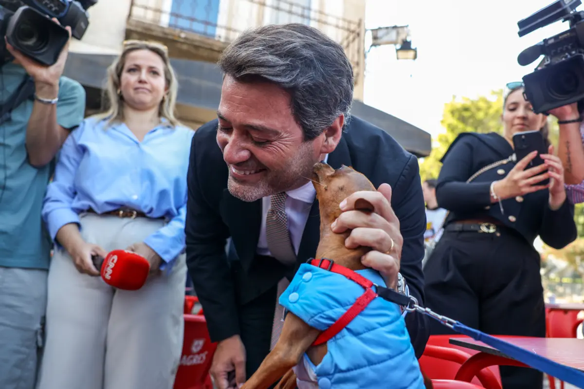 A lei que regula a entrada de estrangeiros em Portugal vai ser reapreciada pelo Parlamento na terça-feira, depois do chumbo do Tribunal Constitucional e o consequente veto do Presidente da República