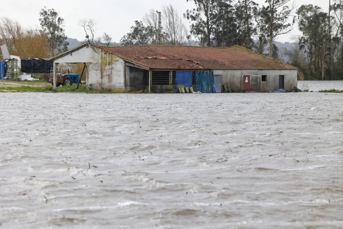 Imagem de contexto do artigo Dique da margem direita do Mondego rebenta em Coimbra