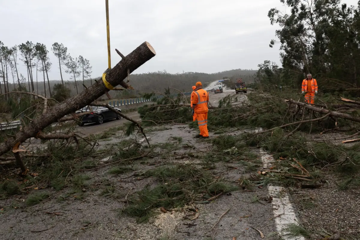 Imagem de contexto do artigo Depois de Leiria e Nazaré, Ferreira do Zêzere também pede ao Governo que decrete estado de calamidade