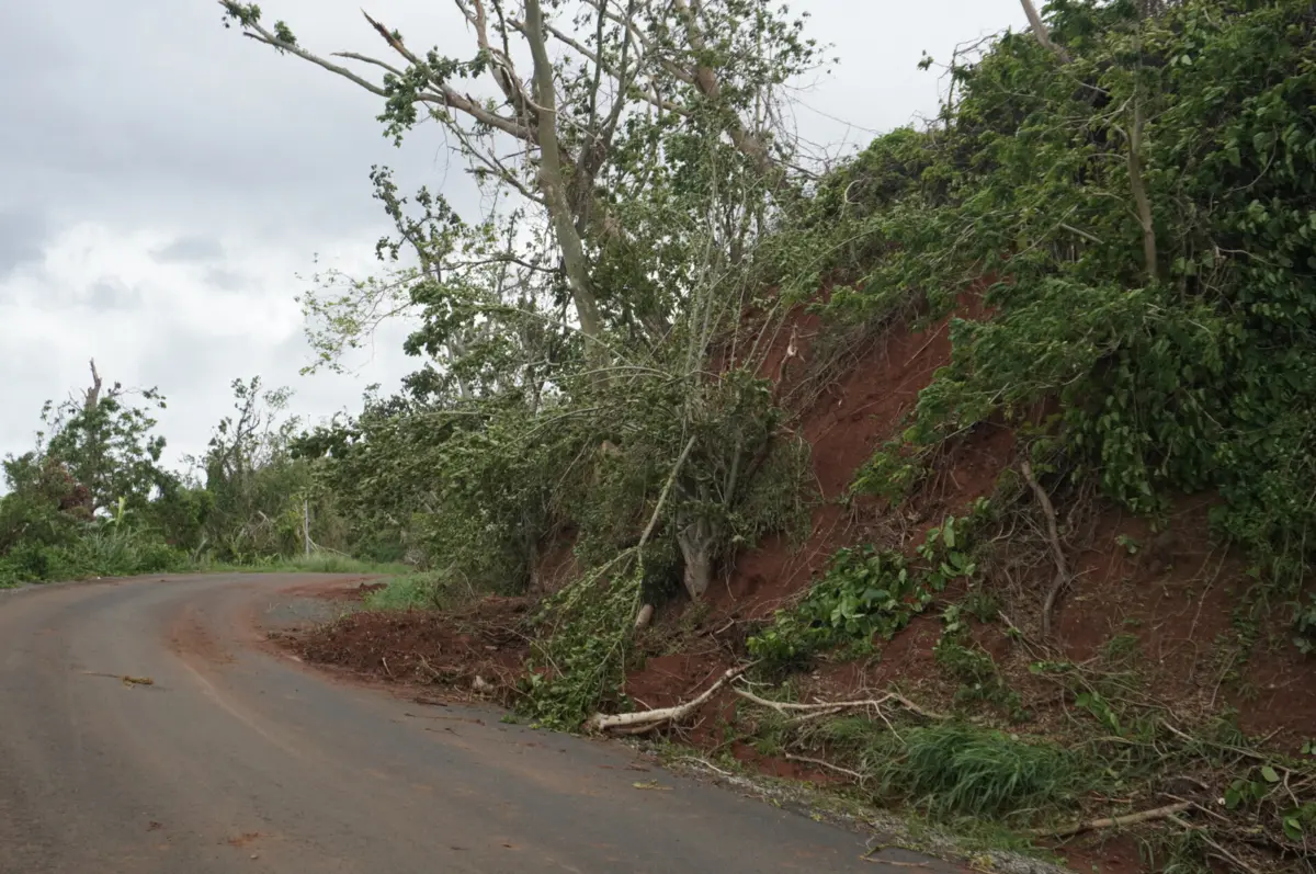 Imagem de contexto do artigo Ciclone Dikeledi deixa mais de 156 mil pessoas sem eletricidade no norte de Moçambique