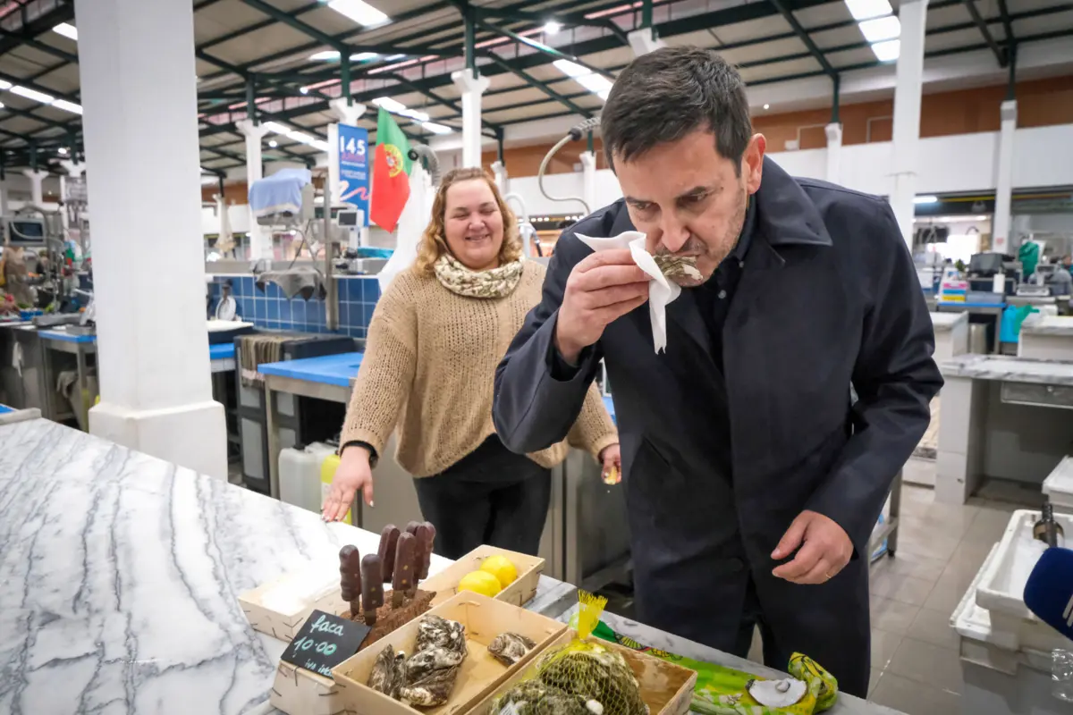 Rui Rocha, líder da IL