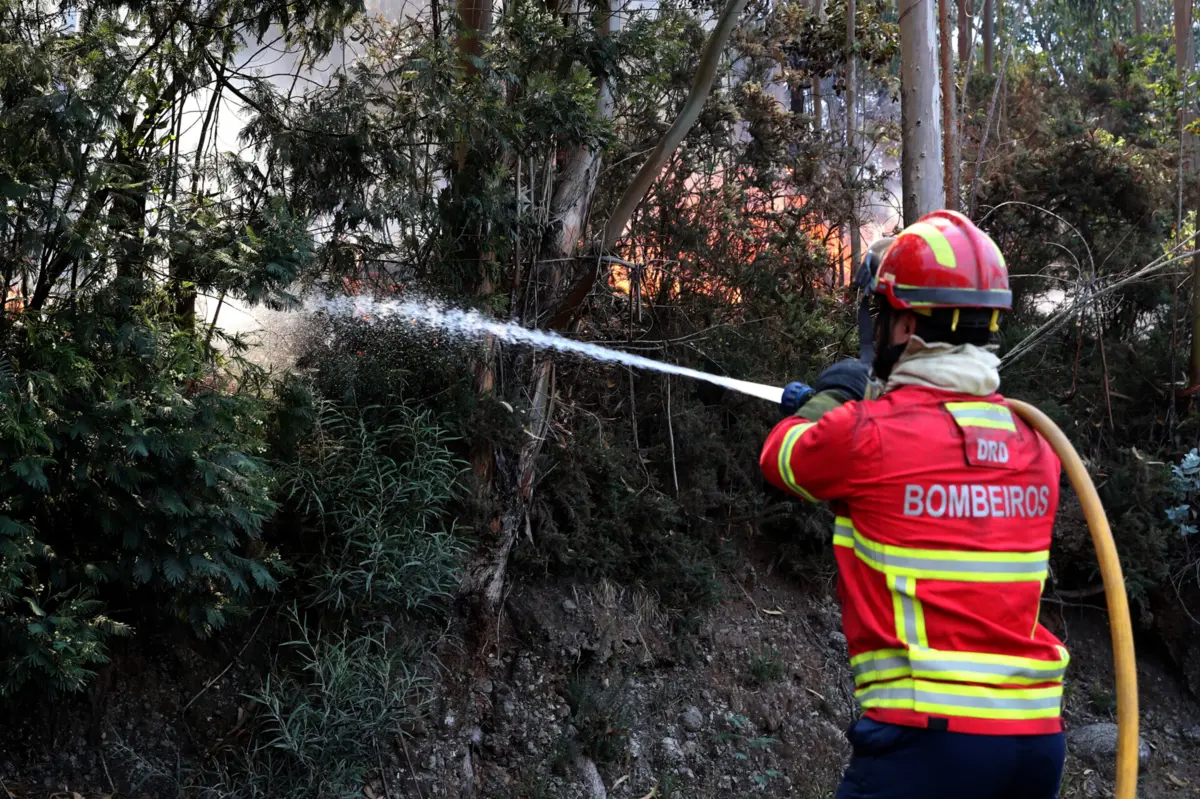 Imagem de contexto do artigo "Apresenta algumas preocupações." Chamas na Madeira chegam à Ponta do Sol