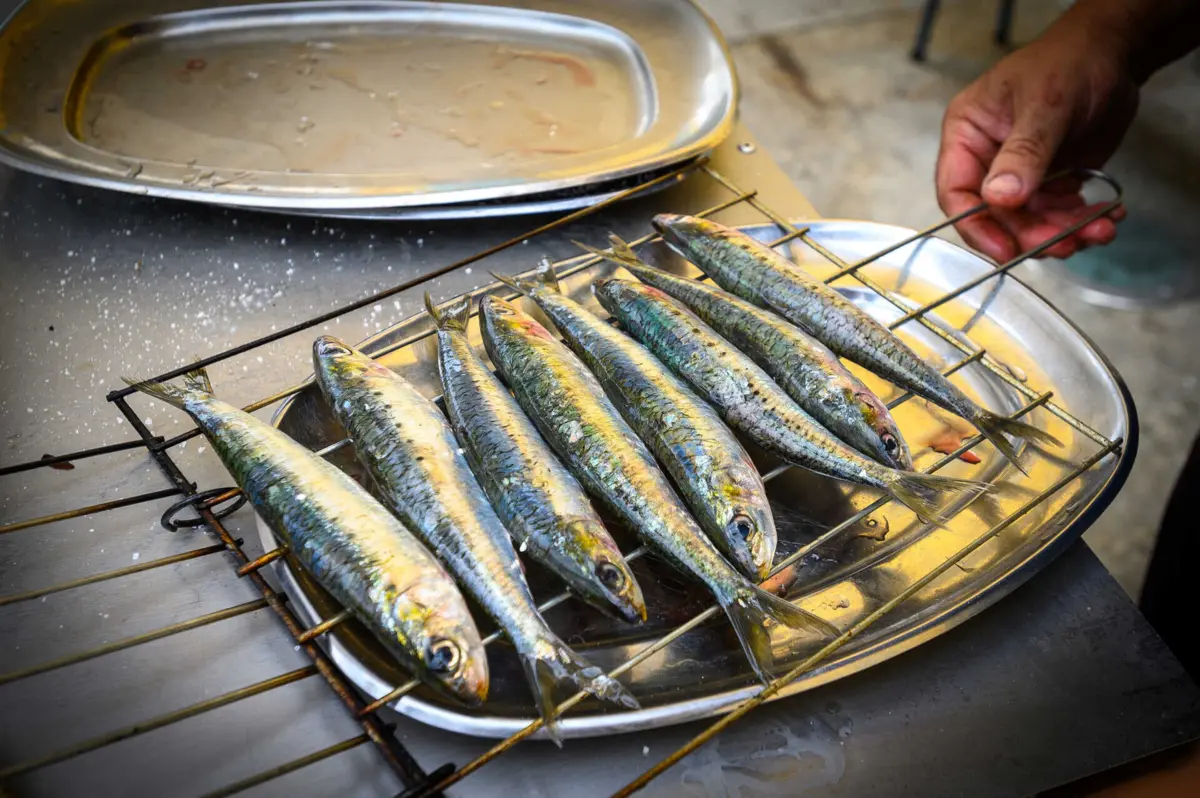Imagem de contexto do artigo Sardinhas pequenas: toneladas atravessam fronteira de Espanha para o Santo António em Portugal