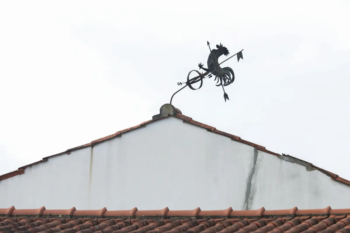 Imagem de contexto do artigo Almeirim com "prejuízos superiores a um milhão" e ainda faltam contabilizar danos "volumosos"