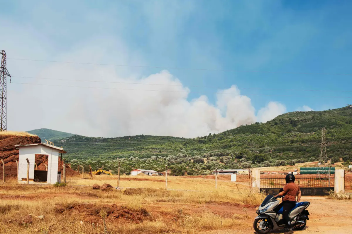Imagem de contexto do artigo Mais de 50 mil deslocados devido a incêndios na Turquia