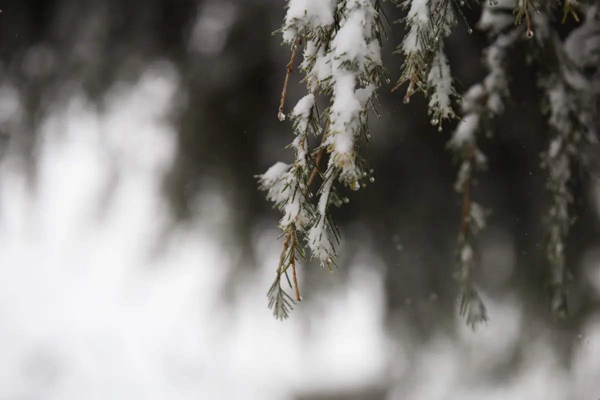 O aviso laranja, o segundo mais grave de uma escala de três, estende-se até às 06h00 de domingo