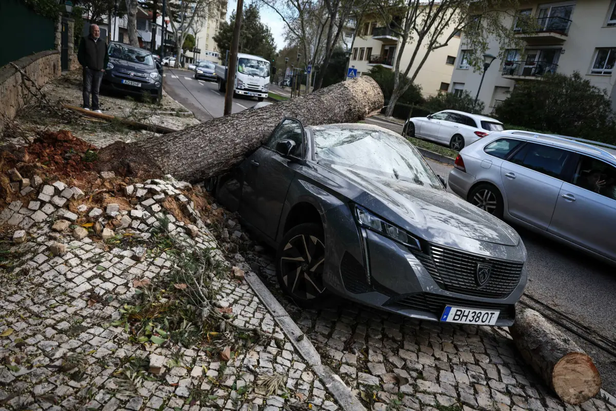 Imagem de contexto do artigo Depressão Martinho: associação sugere escolha de seguro que dê verdadeiras garantias em caso de desastre