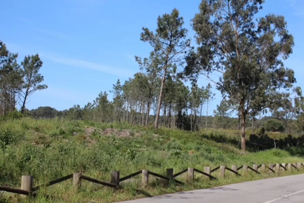 Aterro sanitário de Maceda