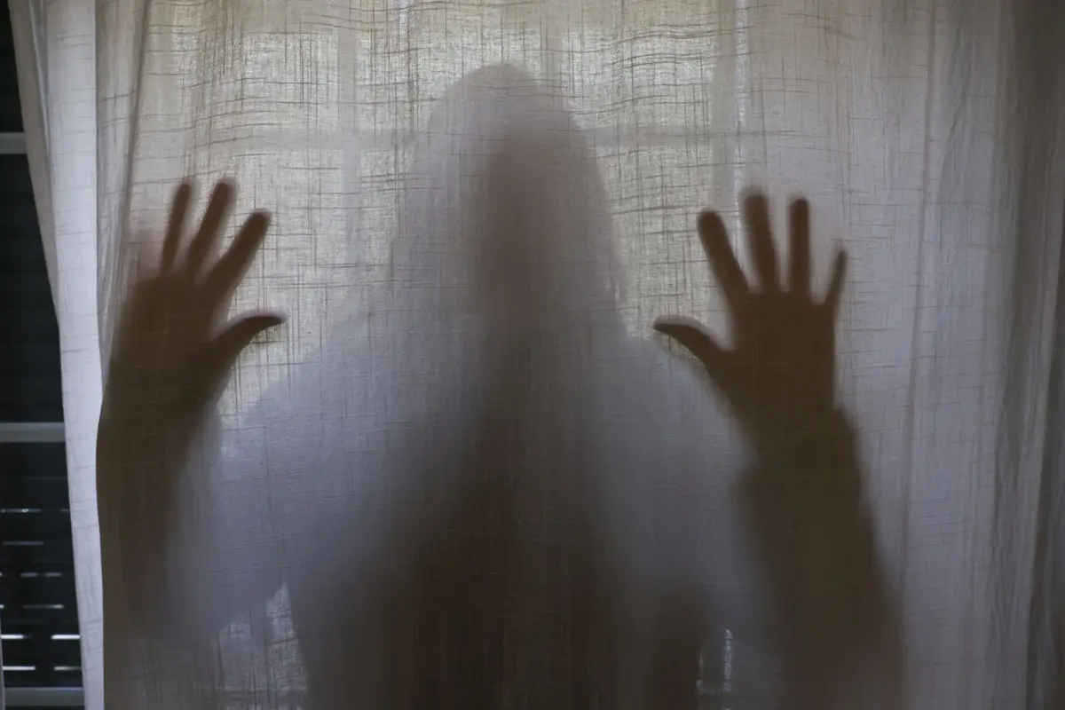 Foram realizadas buscas domiciliárias na zona da Grande Lisboa e no Algarve