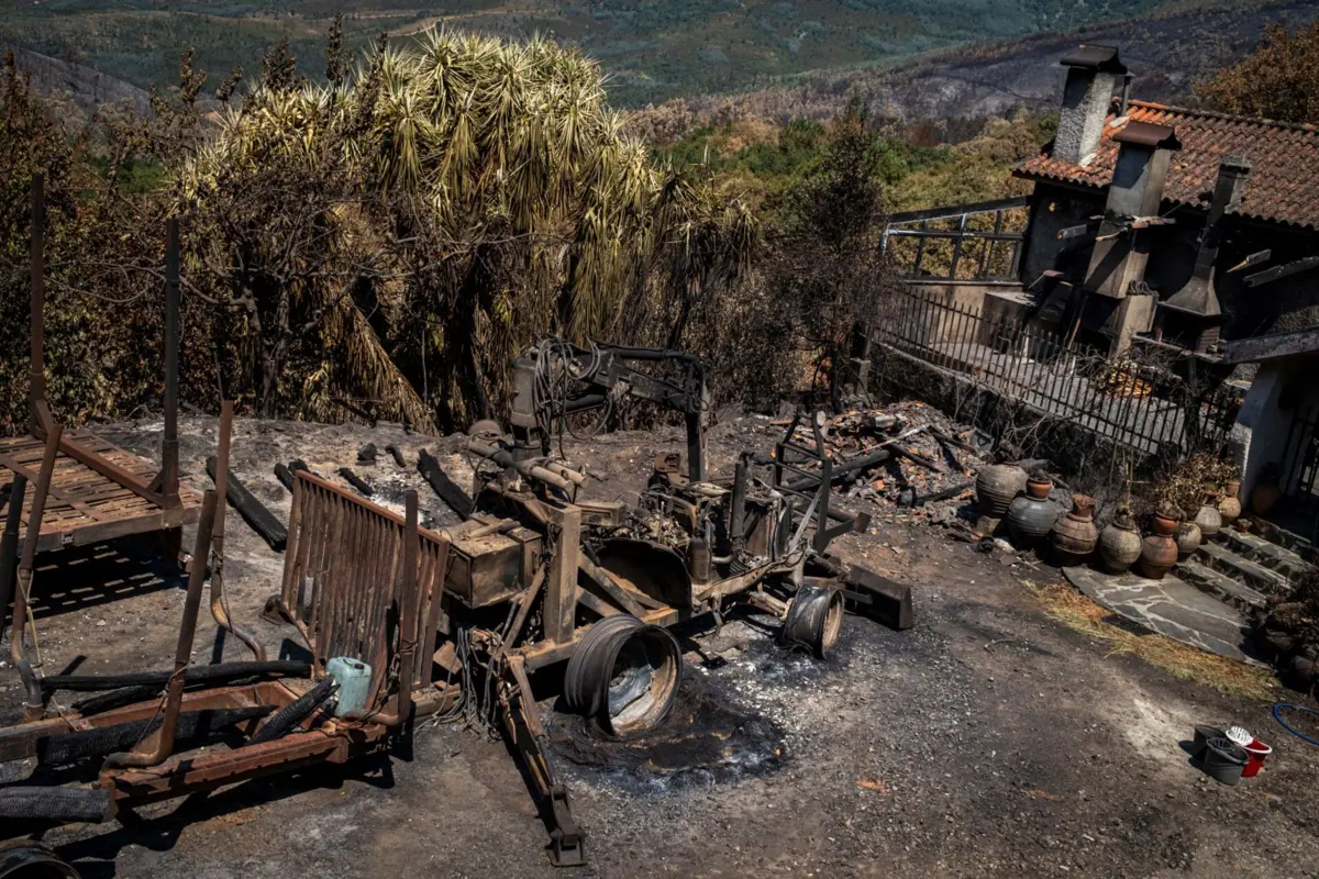 Imagem de contexto do artigo Mil agricultores do Norte já receberam cinco milhões de euros para colmatar prejuízos dos incêndios