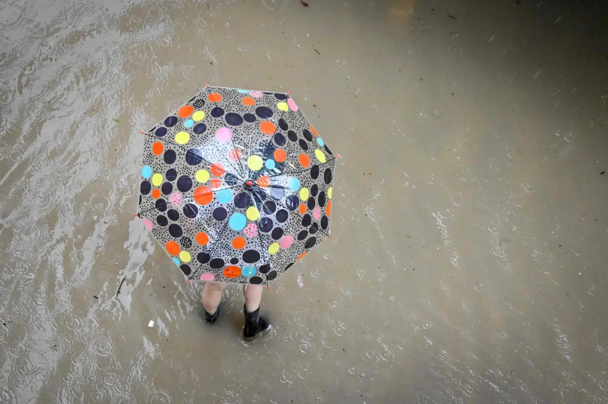 Imagem de contexto do artigo Chuva intensa alagou estradas, caves e lojas em Albufeira e Olhão