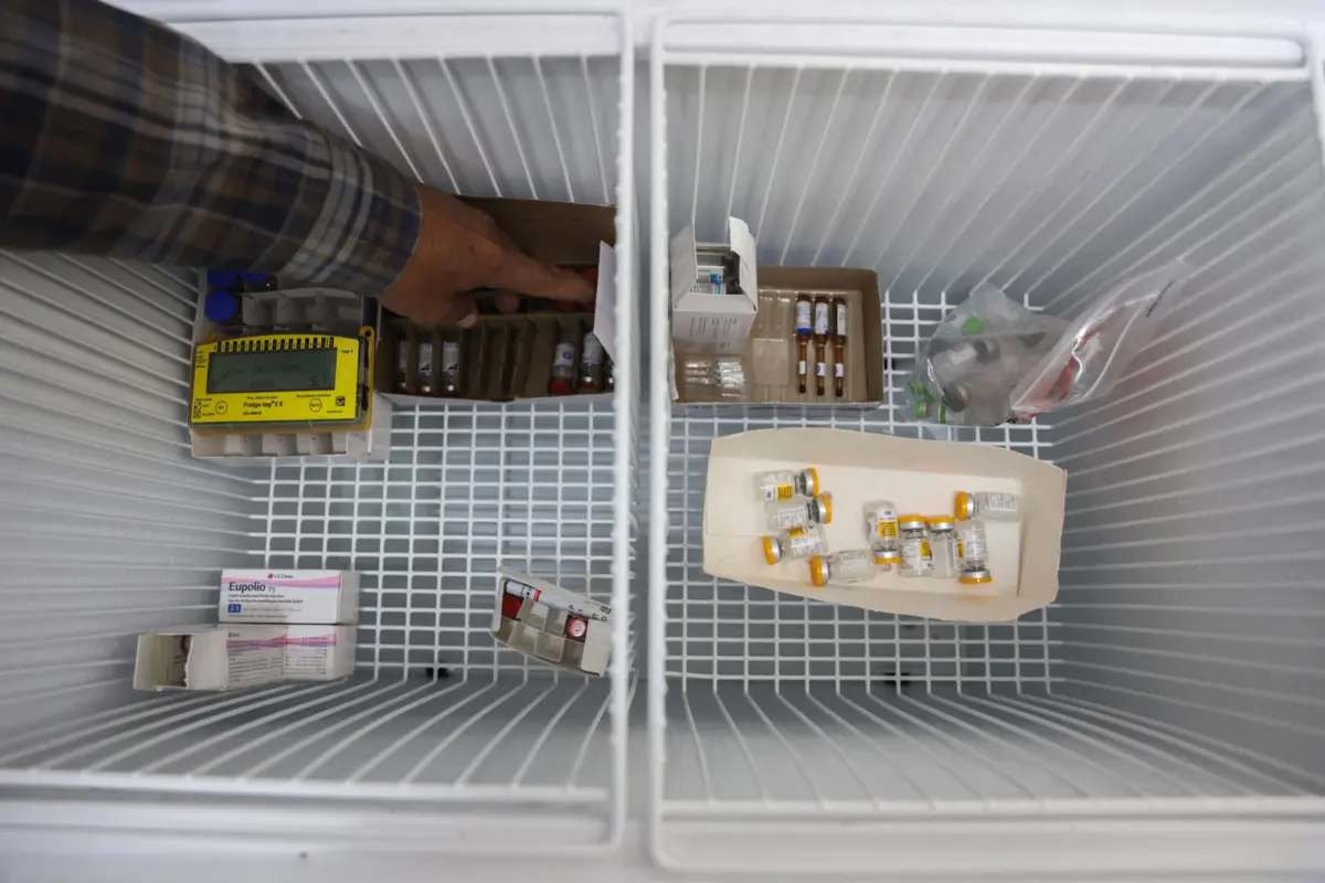 Imagem de contexto do artigo Inteligência artificial está a acelerar produção de novos medicamentos e reduz testes em animais