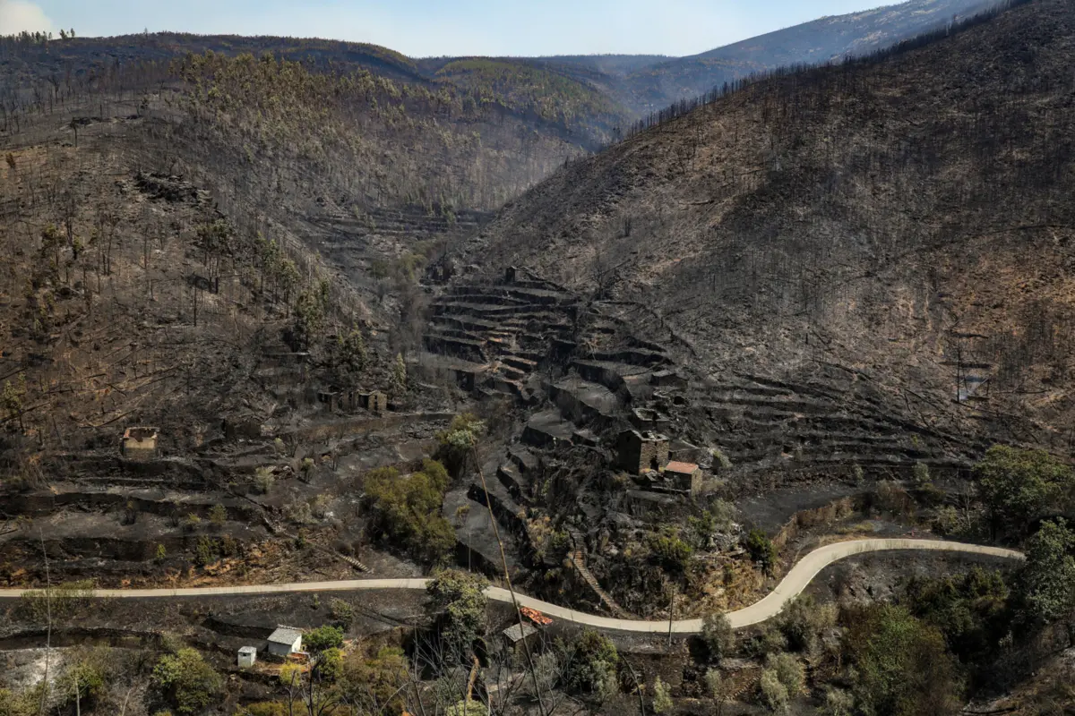 Imagem de contexto do artigo "Incêndios são humilhantes e dramáticos." Municípios pedem "medidas imediatas" e lamentam que autarcas "nunca sejam ouvidos"