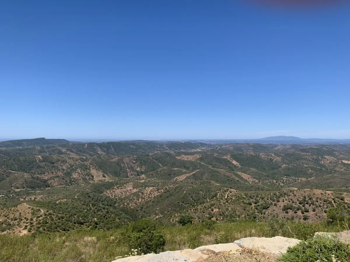 Imagem de contexto do artigo Os "condomínios de aldeia" afastam incêndios na floresta