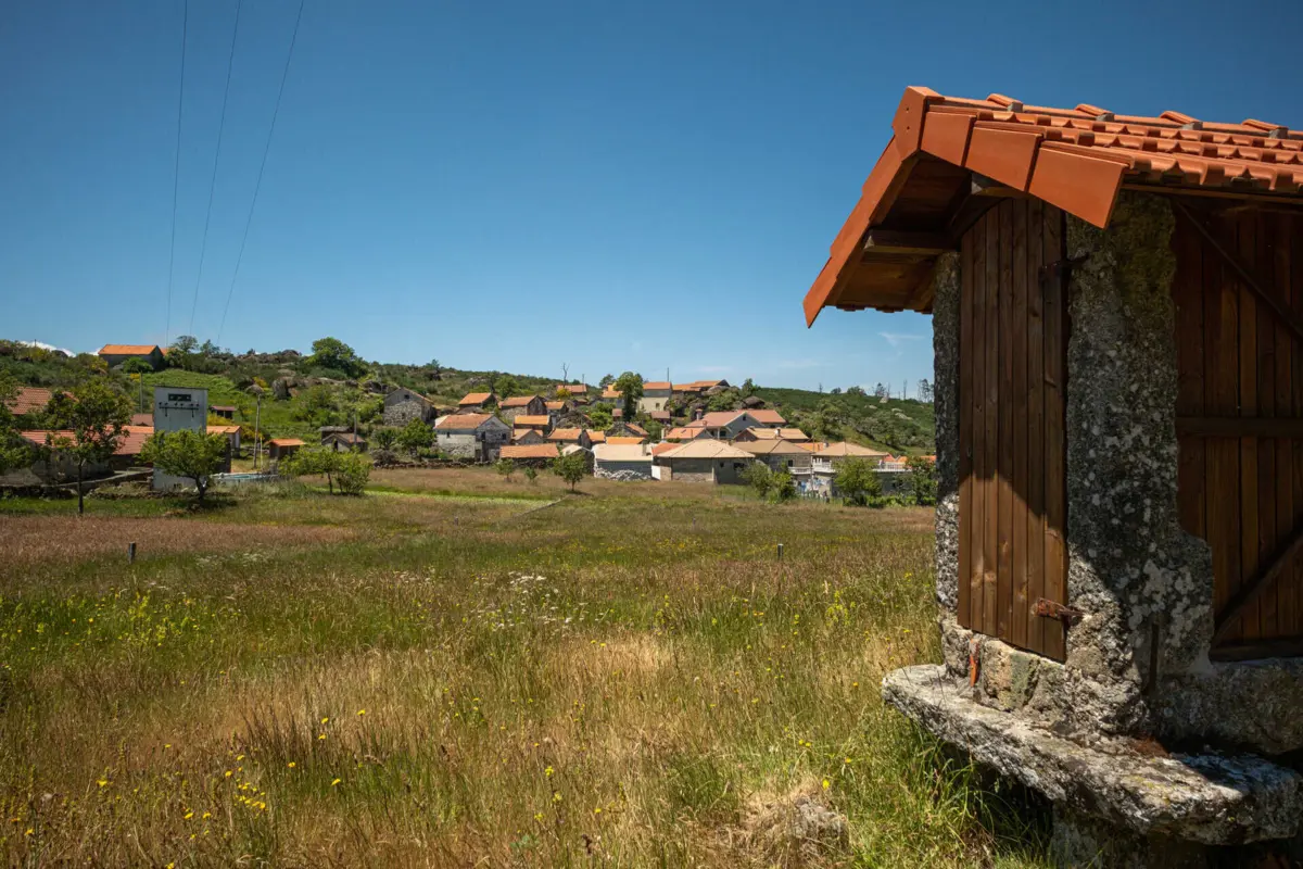 Imagem de contexto do artigo Depressão Martinho atrasa trabalhos agrícolas. Confederação pede apoio ao Governo