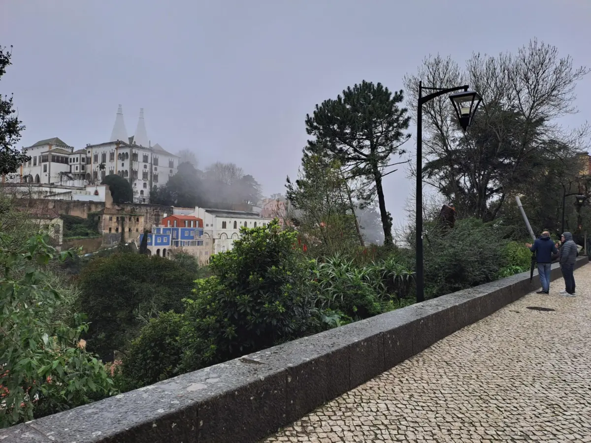 Imagem de contexto do artigo Sintra acorda "mais despida" depois da queda de árvores provocada pelo temporal