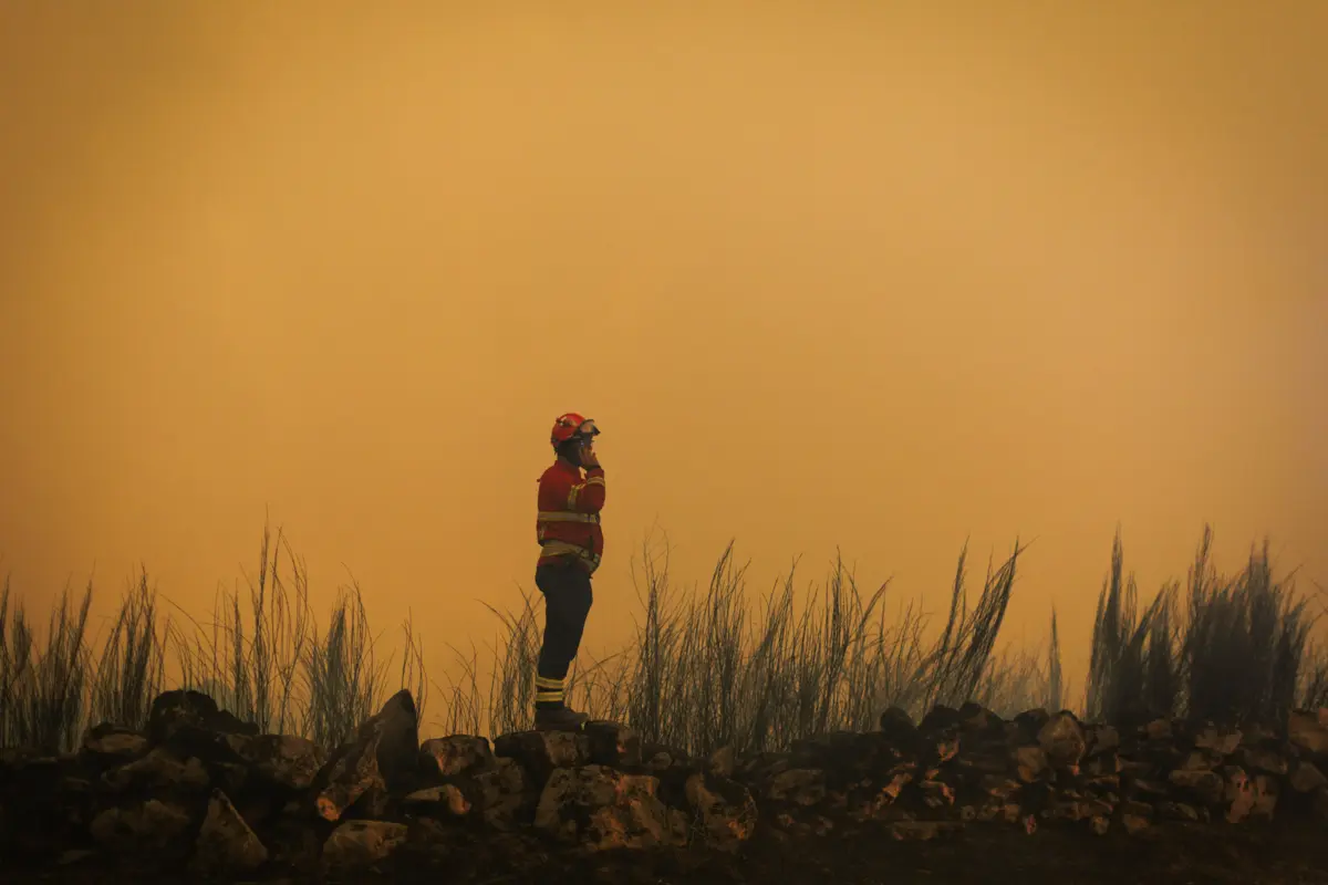 Imagem de contexto do artigo "Estão a deixar arder o interior": Covilhã "entregue a si própria", Chaves com cinco mil hectares queimados