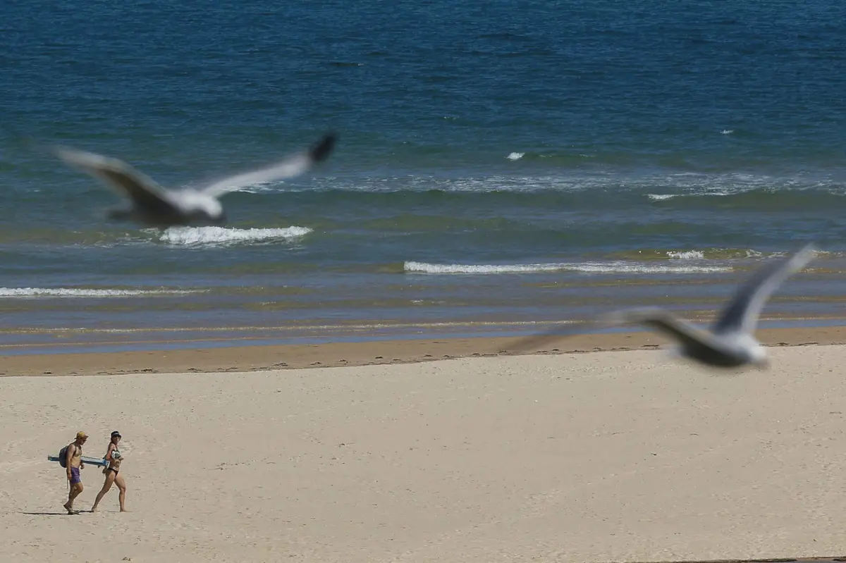 Imagem de contexto do artigo Bandeira vermelha nas praias do Seixal devido a foco de poluição
